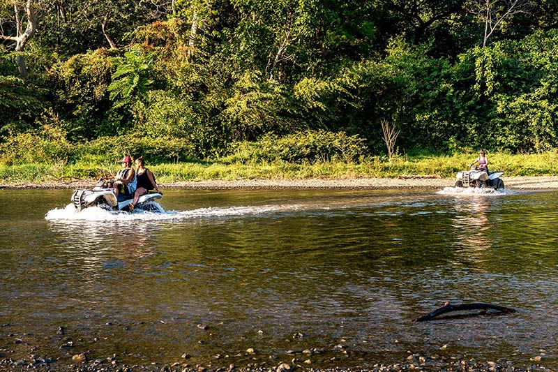 Finca Toro Dorado Costa Rica